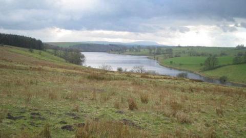 A reservoir surrounded by grassy fields and trees.