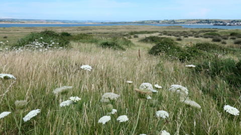 Northam Burrows