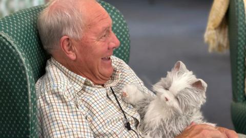 John Pallet sits in a green high backed chair with a robotic cat on his lap. John is laughing to someone off camera to the right and has short grey/white hair and a cream farmer's check shirt. The cat is pale grey with a white stripe down its face and chest