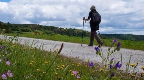 A walker in countryside