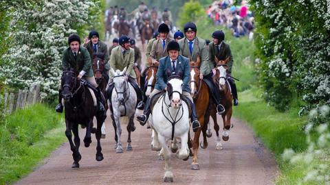 A pack of horses and riders galloping up a road in Hawick with greenery at either side of the road and crowds of people blurred out in the distance