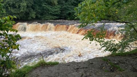 A waterfall of brown-looking water surrounded by trees. There is a muddy embankment on the right. 