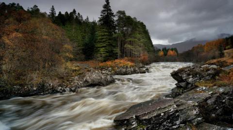 a river rushes through rocks with trees on both banks