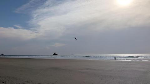 High cloud shrouding bright sunshine over a calm, flat seashore.