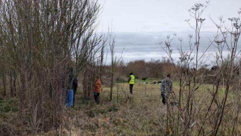 Volunteers restoring Phoenix Glade in Dane Valley Woods