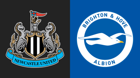 Newcastle United and Brighton club badges