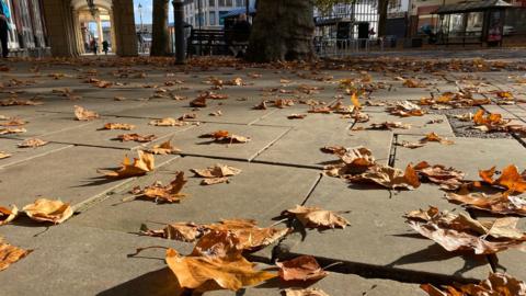 A street scene taken from a low angle shows a scattering of brown leaves across the pavement in the autumn sunshine. There are shops and shoppers in background and the trunks of trees.