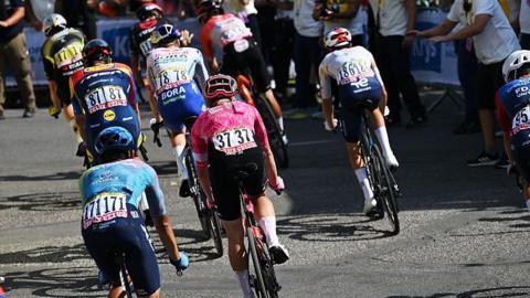 A group of riders on the Tour de France