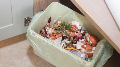 Food waste in a green bag in a white bin. The bin is on the floor and has been partly pulled out of a kitchen cupboard.