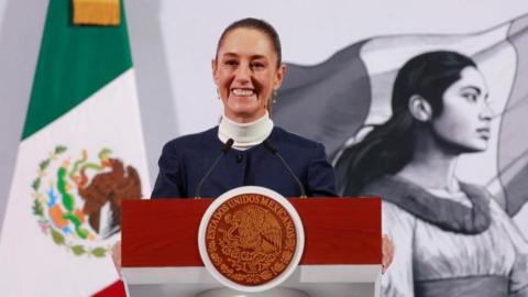 Mexico's President Claudia Sheinbaum stands at a lectern in front of  Mexican flag and a black-and white mural showing a woman waving a flag. President Sheinbaum is smiling broadly while she holds a news conference in Mexico City.