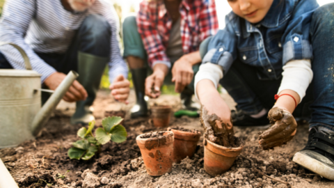 A boy in a denim coat squats down next to some small plant pots. His hands are muddy.There are two adults squatting next to him. 