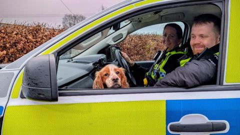 Honey the dog in a police car with two officers