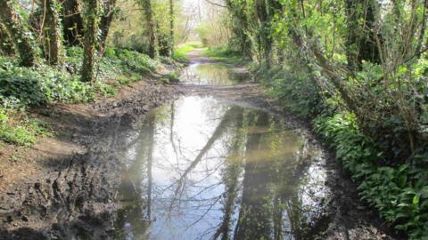 a muddy cycle track with two large puddles in the middle. There are trees and greenery either side of the track.