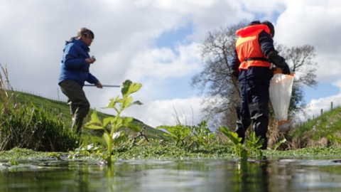 Student scientists taking samples in a pond, wearing protective wetsuits and holding plastic bags for research.