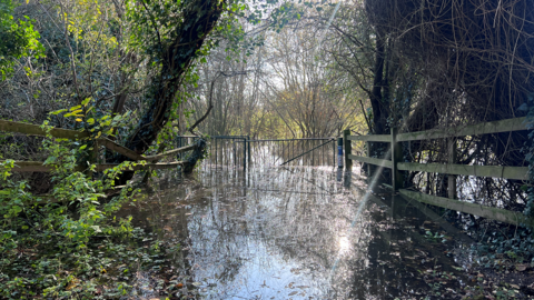 A path in Holybrook Linear Park is covered by floodwater. It is a dry day and the sun is reflected in the water.