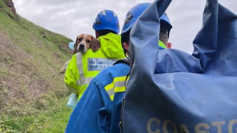 A dog looks over the shoulder of a man in a coastguard rescue bright yellow jacket while behind him follows a man in a blue coastguard outfit