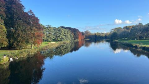 A sunny day with a blue sky that is reflected in a deep blue river. The river runs through the centre of the shot and the banks are lined with green grass and trees. Some of the trees have gree leaves, and others are turning to orange and brown. There is a family of swans swimming near the bank.