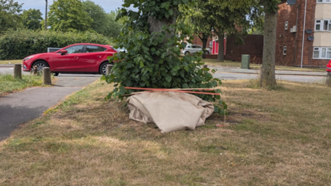 A heap of folded-over fabric lies against the foot of a tree on some grass in front of a parking area