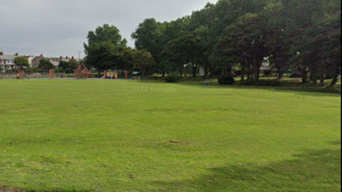 Library shot of trees on the right of an open stretch of park with terraced house in the distance.