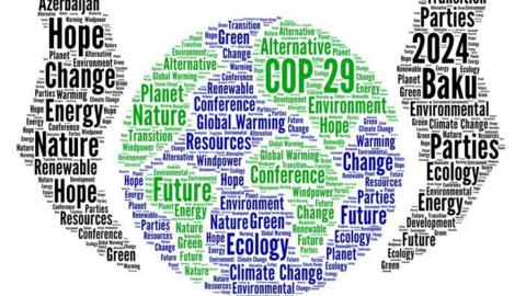 COP 29 world cloud