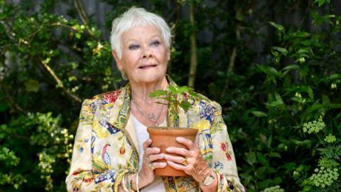 Dame Judi Dench holds up a potted plant at the RHS Chelsea Flower Show.