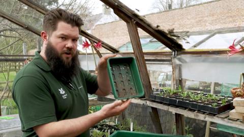 National Trust's Head Gardener's Cail holds up some seed boxes