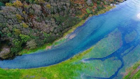 An ariel view of the Isle of Man's coastline. There are trees on the land, and blue/green algae in the sea.