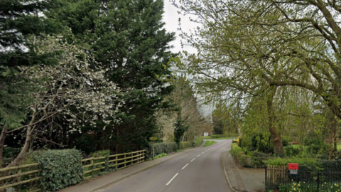 A residential road with trees and bushes lining each side. Fencing can be seen on one side of the road.