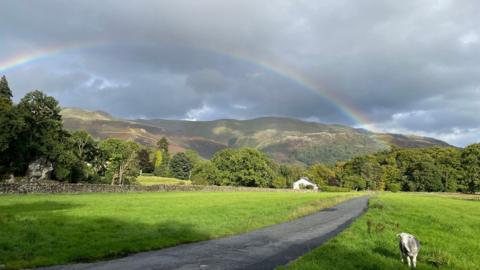 rural field with path through middle, a lamb on the right, a white house and trees in distance, under a grey, cloudy sky with a rainbow