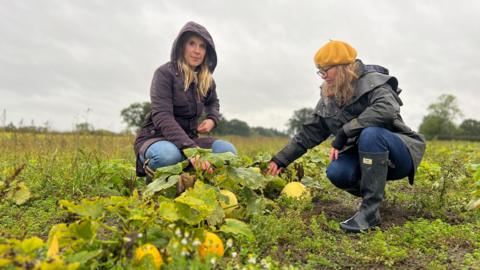 Two women lean down to look at pumpkins on a pumpkin patch in Derbyshire.