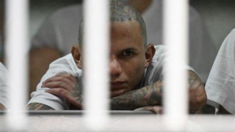 A man with tattoos on his arms and head is seen behind bars