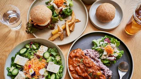 Aerial view of four plates of food. One is a salad, another burger and chips, another is a rise dish with curry and the final one is a bun. There is a glass of water and beer also on the wooden table.