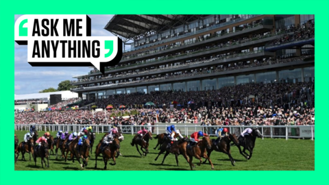 Royal Ascot during the 2024 festival with an Ask Me Anything border around it