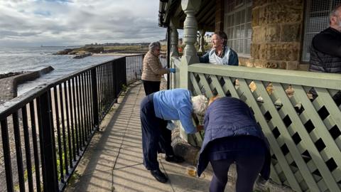 Volunteers help to oil the paintwork of the fence. Many appear to be pensioner-age. They hunch over with brushes and pots of the amber oil. In the distance is the sea and coastline under a cloudy sky.