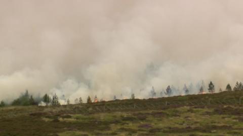 Teine fiadhaich ann am Pàirc Nàiseanta a' Mhonaidh Ruaidh