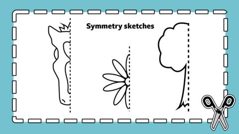 Activity sheet showing outlines of flowers, tree and an insect with dotted lines to complete the symmetry.