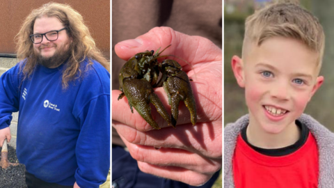 A collage of three images