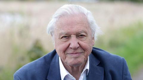 Sir David Attenborough smiling.