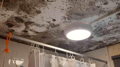 A bathroom ceiling covered in black mould. A circular light is in the centre of the ceiling.