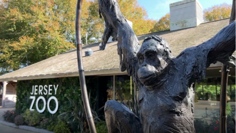 The Jersey Zoo building with a statue of an orangutan out front. Trees and blue skies in the background.