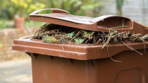 Brown waste bin filled with garden waste including overflowing twigs and leaves, with the lid not quite shut