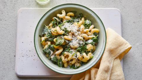 Creamed spinach pasta