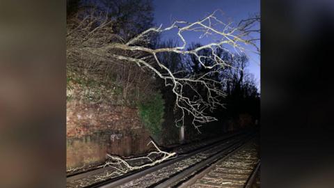 A branch of a tree on a railway line, with a very low hanging branch blocking the railway line