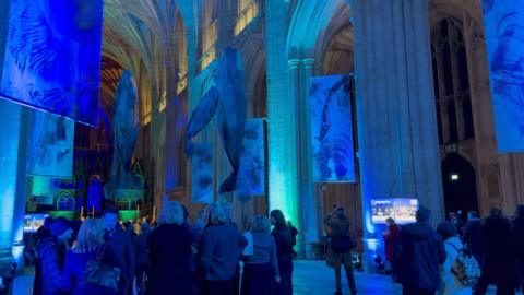 The inside of Winchester Cathedral. Can see dozens of people gathered in the nave area, they are looking up at the whale sculptures which are suspended in the air. The cathedral is dimly lit with a blue tint to it to make it feel like an immersive underwater scene. The three whales are a grey colour.