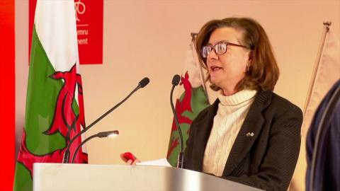 Eluned Morgan, who has brown hair and glasses and is wearing a white jumper and black blazer, stood at a podium with Welsh flags in the background 