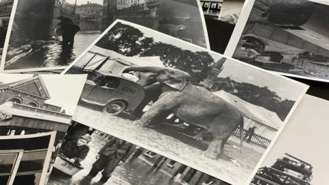 Seven black and white photographs, including one of a large elephant towering over a small van, possibly taken in the 1930s, and two showing men wading through flooded streets.