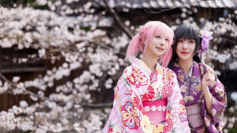 Japan’s famous blossom trees have come into bloom, as spring has officially sprung and nature is waking up after a long winter. 