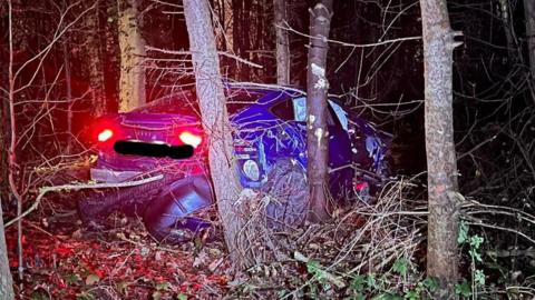 Car wreck in trees