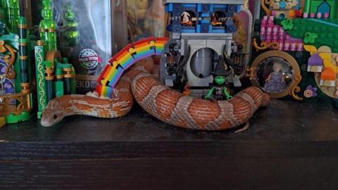 An orange and beige corn snake wrapped around figure toys on a brown 