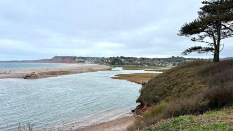 sea view with curved bay of beach, grass and a tree to the right, coastline of cliffs and houses in distance, under a grey sky